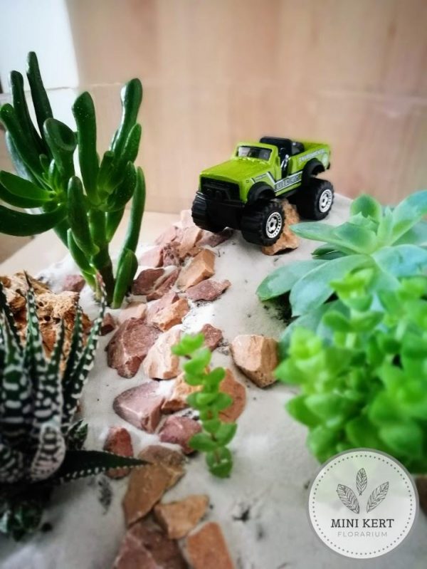 sivatagi florárium zöld terepjáróval
