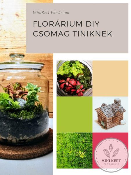 DIY florárium csomag tiniknek