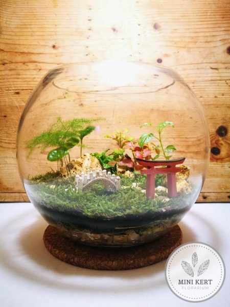 mini japánkert florárium