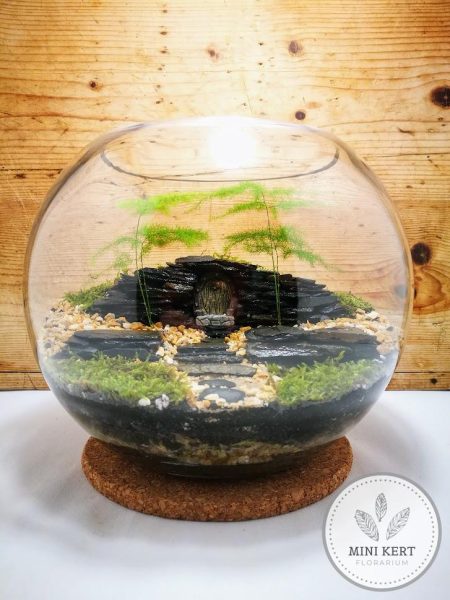 uveggomb-25cm-rejtelyes-ajto-florarium