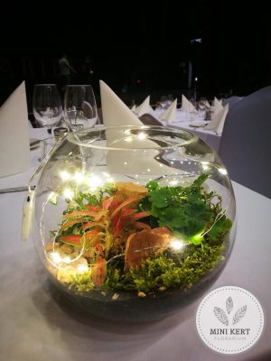 vilagitott-florarium