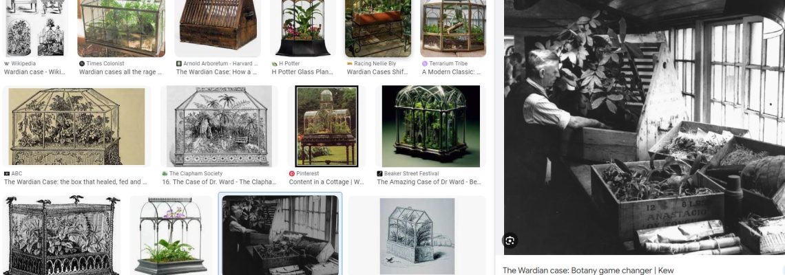 ward-terrarium-szekreny