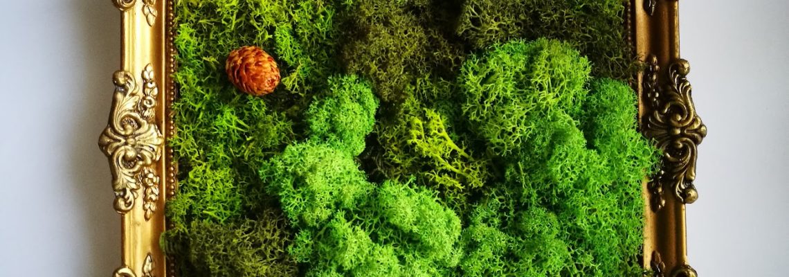 zuzmokep-regi-kepkeretben